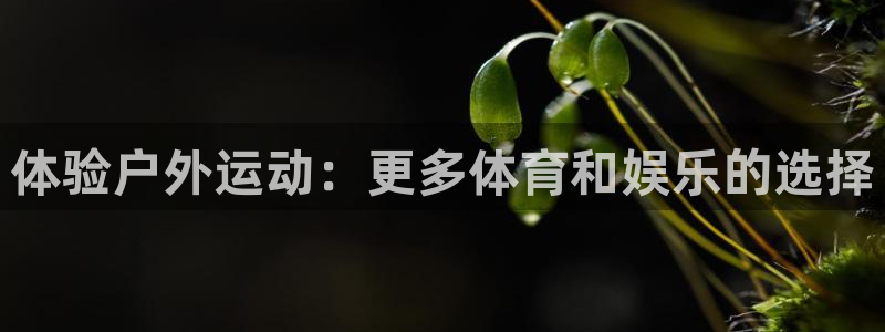 海南征途国际:体验户外运动:更多体育和娱乐的选择