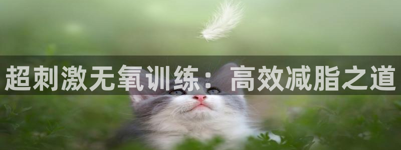 征途国际娱乐首页网站大全:超刺激无氧训练:高效减脂之道