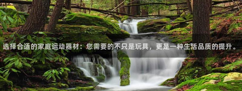 征途国际娱乐40996:选择合适的家庭运动器材:您需要的不只