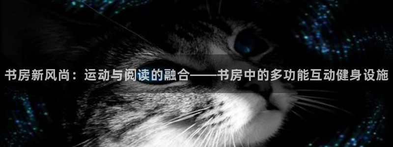 征途国际招商电话地址:书房新风尚:运动与阅读的融合——书房中