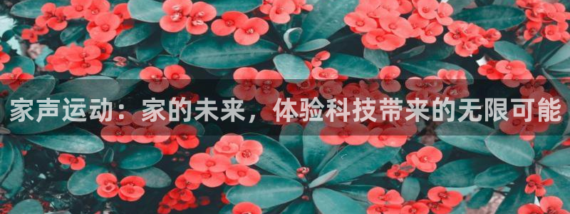征途国际招商电话是多少:家声运动:家的未来,体验科技带来的无