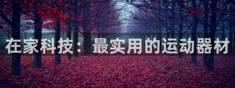 征途国际招商电话:在家科技:最实用的运动器材